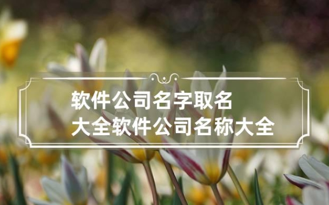 芜湖软件公司名叫什么好听易记